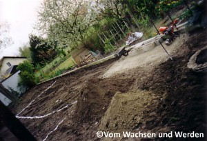 2004_Mondlandschaft4wz