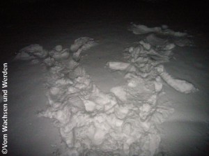 Schnee-Engelwz