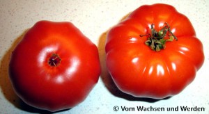 2009_Marm1wz