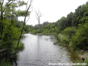 2010-07-14_01wz