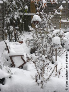 2010-12-03_02wz