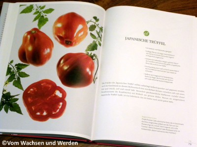 2014-11-26_Tomatenatlaswz